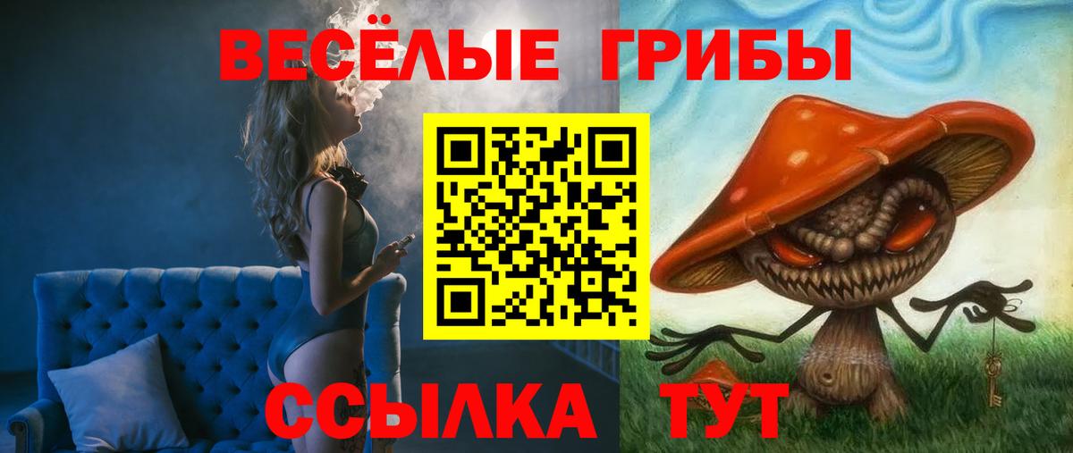 Первоуральск  Галлюциногенные грибы Cubensis  Вход с VPN  Галлюциногенные грибы GOLDEN TEACHER 